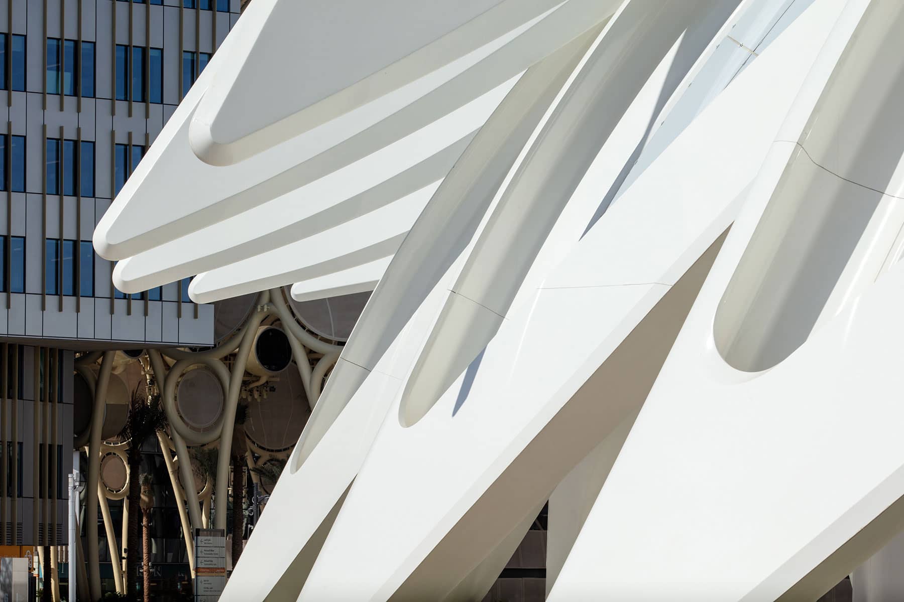 Architecture Photography Dubai: Architectural detail of canopy at the UAE Pavilion, Expo2020, Dubai: Calatrava