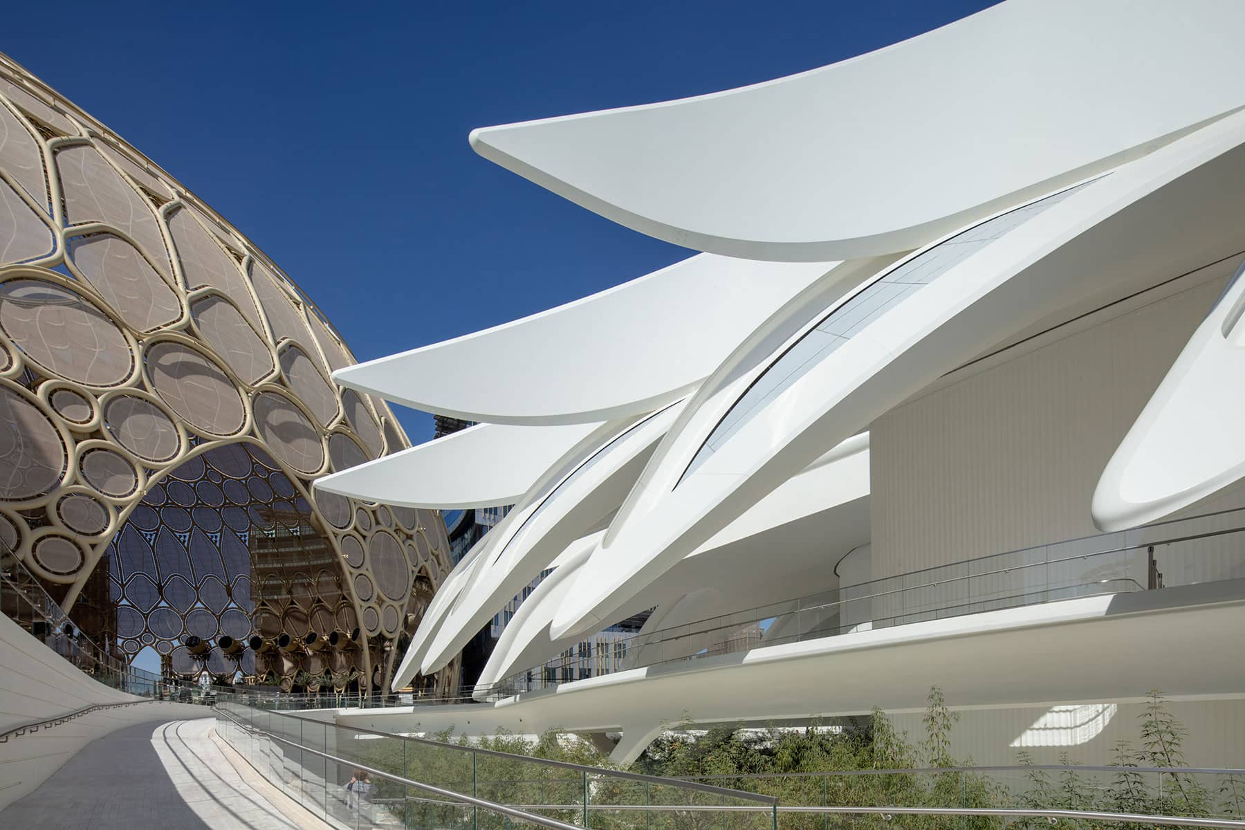 Architecture Photography Dubai : Expo2020 Dubai: UAE Pavilion: Architect Santiago Calatrava