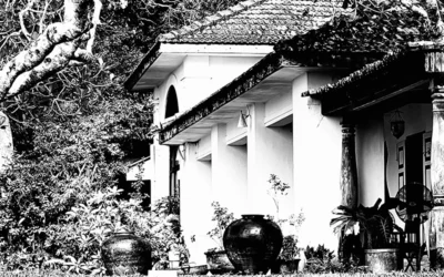 Visiting the Sri Lankan Estate of Renowned Architect Geoffrey Bawa